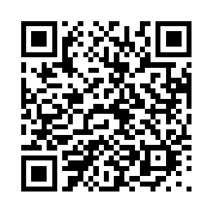 所以很多高山的嫡系和亲信都推荐她二维码生成