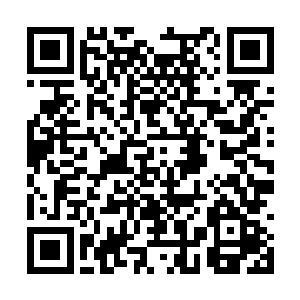 所以很多高手肯定会埋伏在这里到龙泉山庄的路上二维码生成