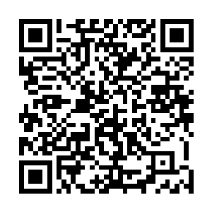 所以很容易就能晋升到三阶甚至是四阶准传奇这样的实力二维码生成