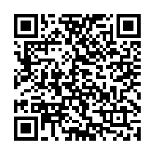 所以很快的丁羽也是带着两个孩子来到了下榻的地方二维码生成