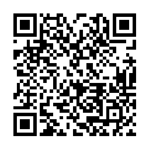 所以总统夫人第一道上的开胃菜就是柠檬汁腌生鱼二维码生成