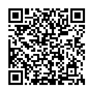 所以想等附近的诊所开门了之后去诊所里面看看二维码生成