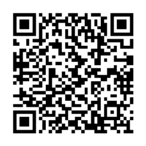 所以想要喝正宗的桃花酒酿需要五年以后才可以二维码生成