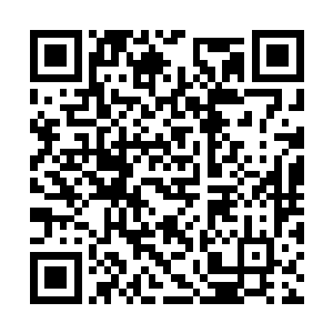 所以愤怒也通过无上天魔舞吞噬了极为强大的力量二维码生成