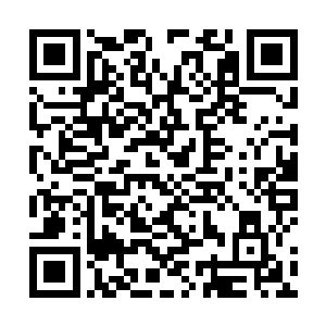 所以我一发现自己重活了一世就立马张罗着满世界找你二维码生成