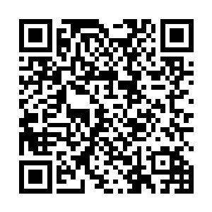 所以我一直在让身边的人收集巴黎华人游行的相关资料二维码生成