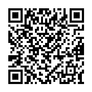 所以我不会把五十年的时间都放在这个事情上面二维码生成