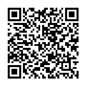 所以我今天一早听说这里被大力少爷您给买下来了二维码生成