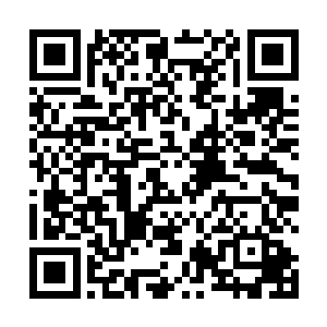 所以我们也是坚定了要把这个服博会每年都办好的决心二维码生成