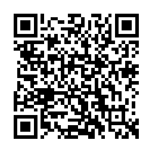 所以我们家主人考虑到和生前的马文子爵的交情二维码生成
