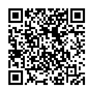 所以我们必须要储存足够的食物才能保证平安度过雪天二维码生成