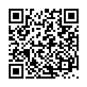 所以我们才……我们真的不是故意去偷的二维码生成