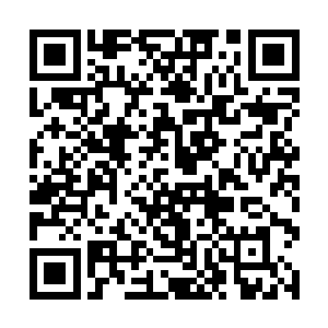 所以我们才更加要争先恐后释放出生命最璀璨的光芒二维码生成