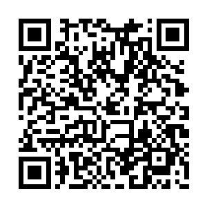 所以我们这次来也是为了请老祖宗们回去助阵的二维码生成