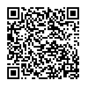 所以我们震天宗也会以高于核心弟子的地位给诸位相应的资源修炼二维码生成