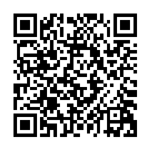 所以我便想到了要用另外更富文化内涵的词汇来定义这类小说二维码生成