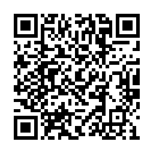 所以我准备免去雷欢喜同志新仙桃村村长的职务二维码生成