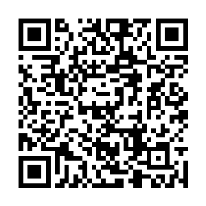 所以我刚才看他看你的眼神有所闪躲却又有所茫然二维码生成