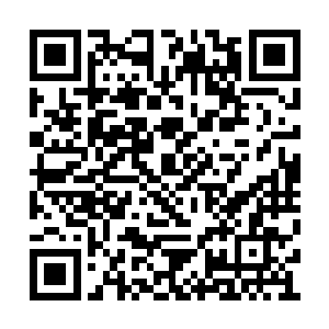 所以我只能在德约和大伊万两个之间选一个合作二维码生成