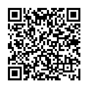 所以我可以自如地调动出八十一万个星域的所有力量二维码生成