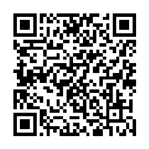所以我在矿洞里面拼命的想要解除那怪人设置下来的阵法二维码生成