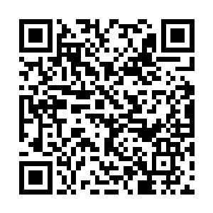 所以我就能把这些急于改变生活现状的渔民拉出来二维码生成