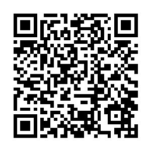所以我居然跟苏虎一起聊了很多关于教育方面的话题二维码生成