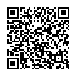 所以我想先趁这个时间把问道宗的阵法加固一下二维码生成