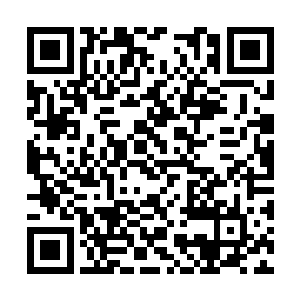 所以我想请你在我女儿血脉中的力量尚未觉醒之前二维码生成