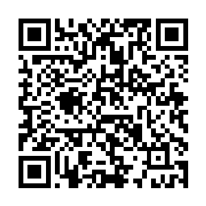 所以我想那凶兽一定会被那些来争夺地盘的凶兽击杀二维码生成