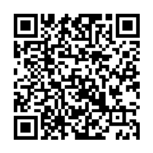 所以我想问一下你以前有见到过四象尊者的相关信息吗二维码生成
