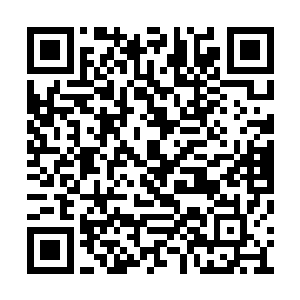 所以我才需要花费了近十块一品的一年份仙气盘二维码生成