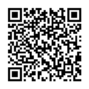 所以我父亲把他的收藏留给您确实是个正确的选择二维码生成