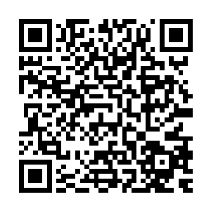 所以我现在特别好奇这两个人交锋的时候会有什么样的表现……二维码生成