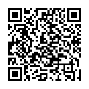 所以我的攻击如果不能在他完成剑歌的时候破坏他的进攻二维码生成