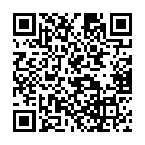 所以我立即加入到了攻击分裂出的小型碧蓝海神队伍中二维码生成