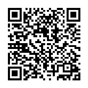 所以我给陆部长和曹市长那里都打得有专门的报告二维码生成