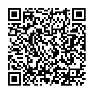 所以我能够看到更多人的真实表情――瑞典之行并不像之前想象的那样风平浪静二维码生成