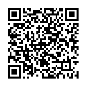 所以才任由紫衣男子将玉兰花簪插到了自己的头上二维码生成