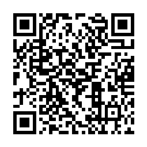 所以才会出现利用针灸截断某一处身体的功能等等二维码生成