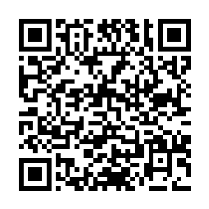 所以才会在海鹏提出要去办结婚证时也没有犹豫就答应了二维码生成