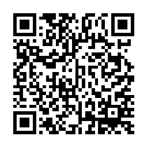 所以才会对眼前的匆匆百年以及脚下的小小泥丸如此执着二维码生成