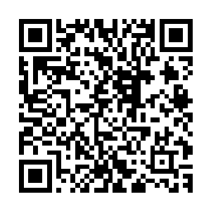 所以才会来这里退而求其次的选择不能进阶骑士的秘籍来修炼二维码生成