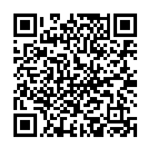 所以才得是李秋这个没人敢招惹的大厨亲自给被人打饭二维码生成