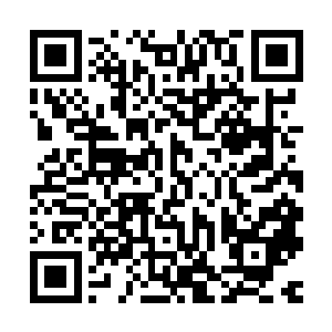 所以才没有入选精灵铁卫……这个世界上可没有无缘无故的力量二维码生成