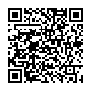 所以找借口诬陷他是灵蛇堂的人我们虽然本领低微二维码生成