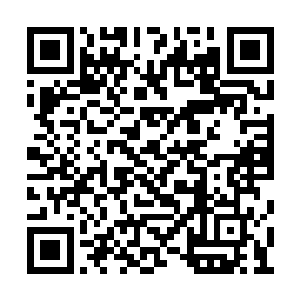 所以把所有打算自己连带两个七重仙去对付汪南二维码生成