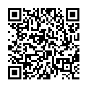 所以拥有绝对实力的他才能够得到这么多族人的推崇二维码生成