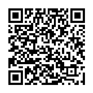 所以接下来他便仔细的查看了一下有关于刺客传承二维码生成