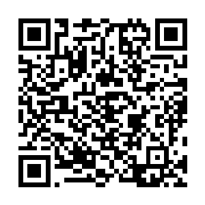 所以方才将自己的洞府选择在了这处人迹罕至的山脉之内二维码生成